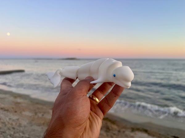 Bert the Beluga