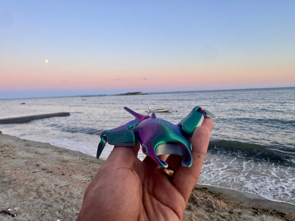 Martin the Manta Ray
