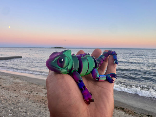 Cami the Chameleon