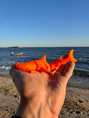 Henry the Hammerhead
