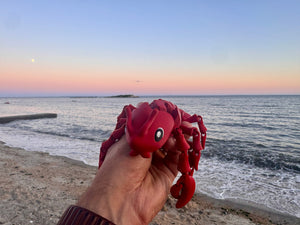 Lorenzo the Lobster