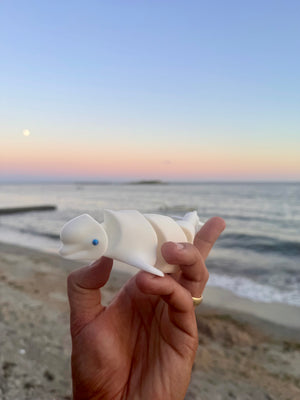 Bert the Beluga