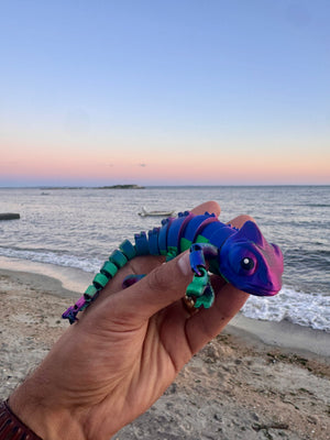Cami the Chameleon