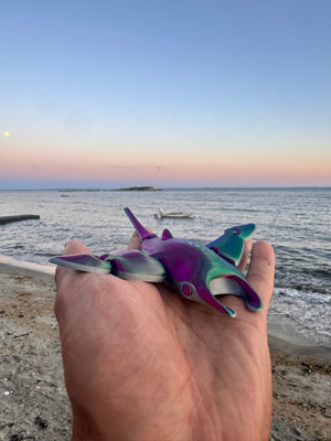 Martin the Manta Ray