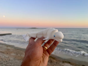 Bert the Beluga