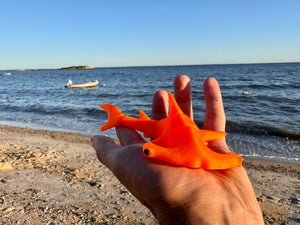 Henry the Hammerhead