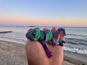 Cami the Chameleon