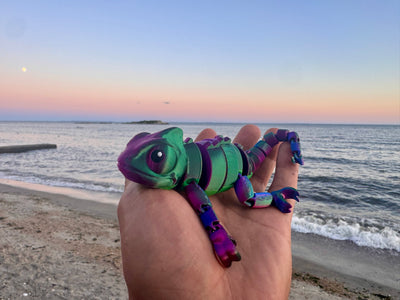 Cami the Chameleon