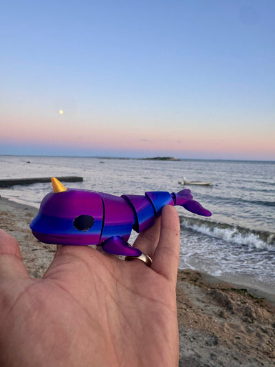 Nigel the Narwhal