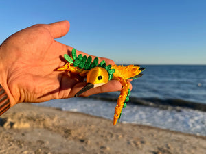 Hailey the Hummingbird